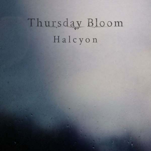 Thursday Bloom - The Lonely Light In The Antique Loft