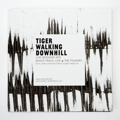Tiger Walking Downhill - 3