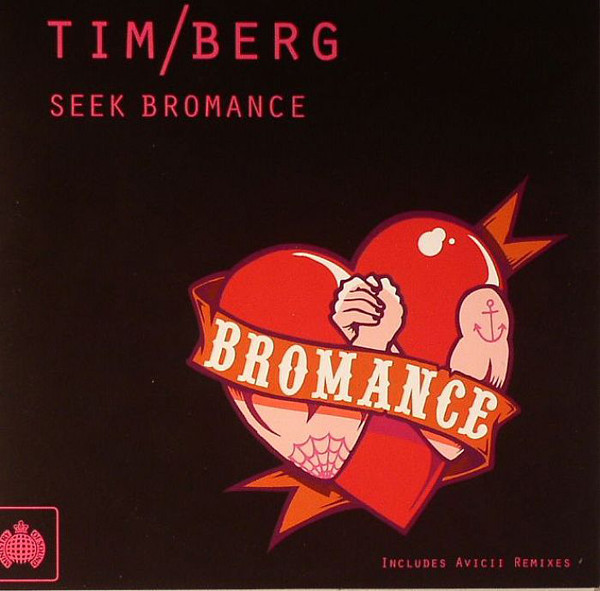 Tim Berg - Seek Bromance - Avicii Vocal Edit