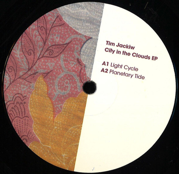 Tim Jackiw - Bass Equations