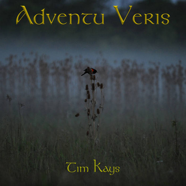 Tim Kays - Midnight Lightning