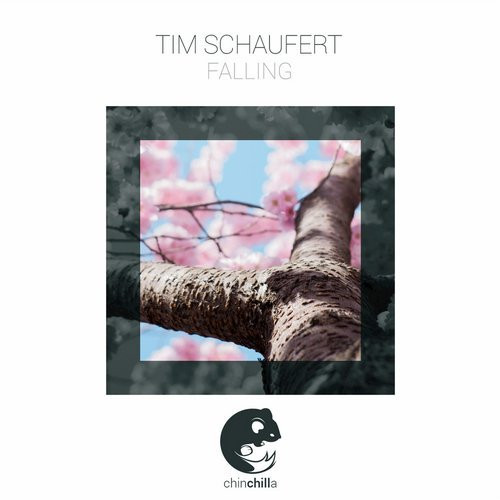 Tim Schaufert - Journey