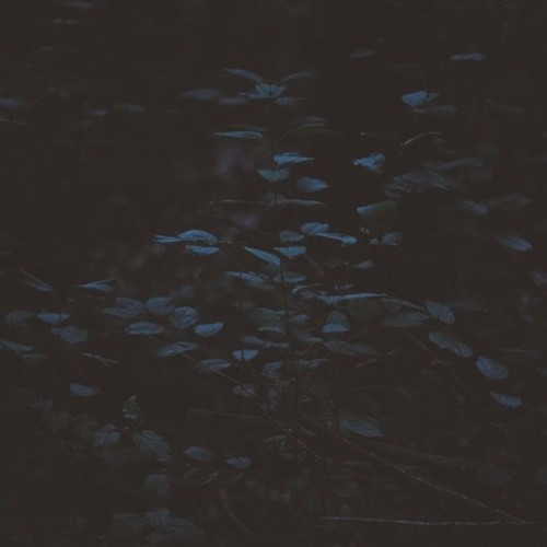 Tiny Deaths - ever