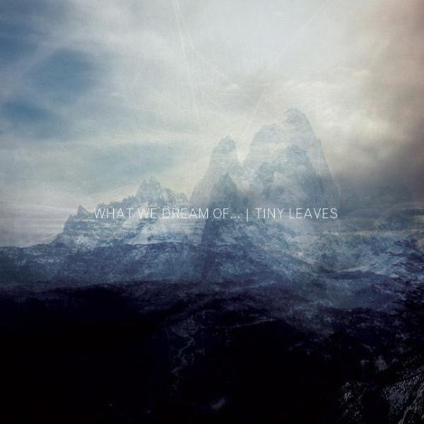 Tiny Leaves - Alone, Not Alone