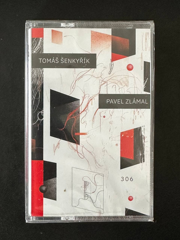 Tomáš Šenkyřík & Pavel Zlámal - 306 (Excerpt)
