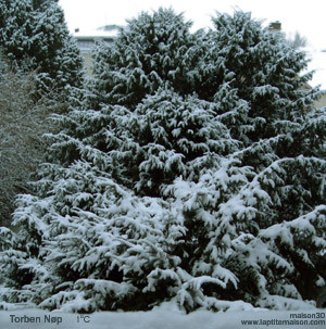 Torben Nøp - 1°C