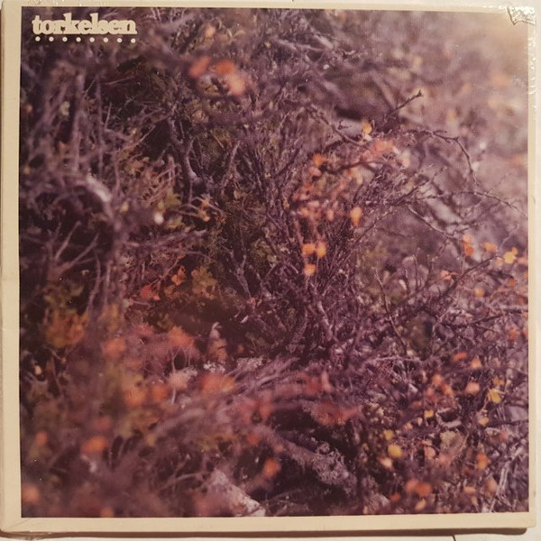 Torkelsen - Tor Kel Sen (Vessels remix)