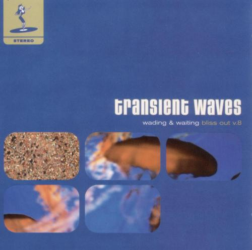 Transient Waves - Billy Whizz