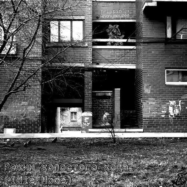 Trippin' Anonymouses - Life in motion