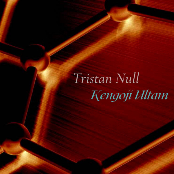 Tristan Null - Synthetic Nature X