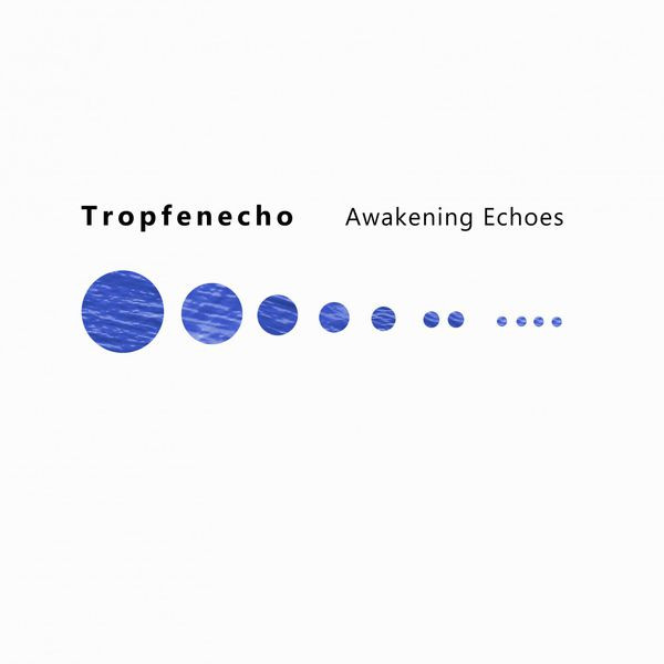 Tropfenecho - The Reality Of Repressed Memories