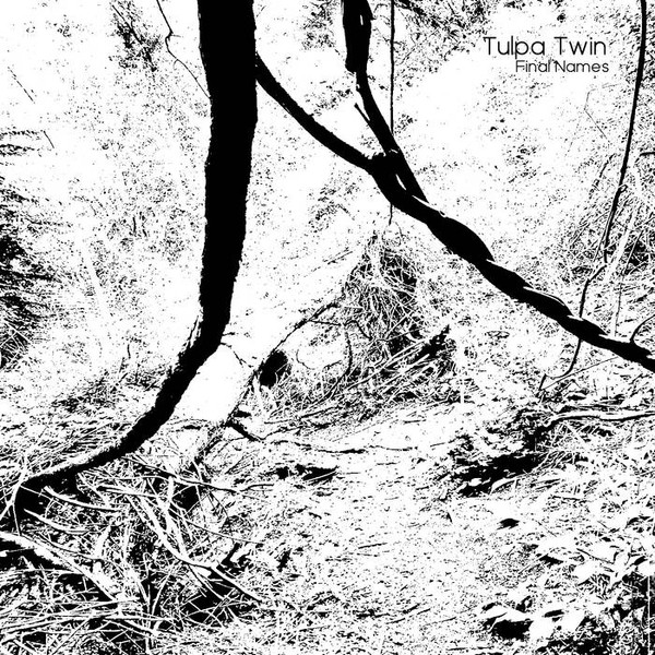 Tulpa Twin - bardo communication