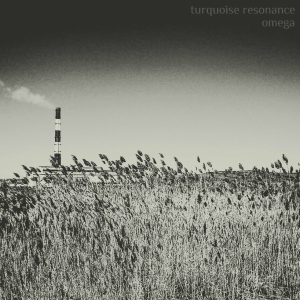 Turquoise Resonance - Surrogate