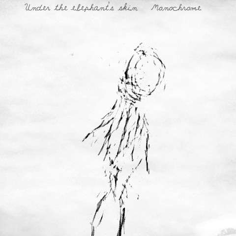 Under the Elephant's Skin - one fractured