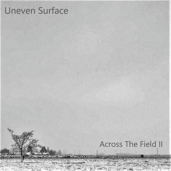 Uneven Surface - Dog Inc