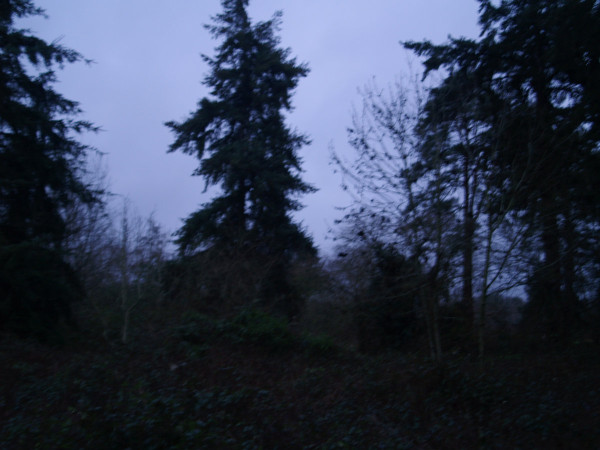 Unsounded - Trying to fall