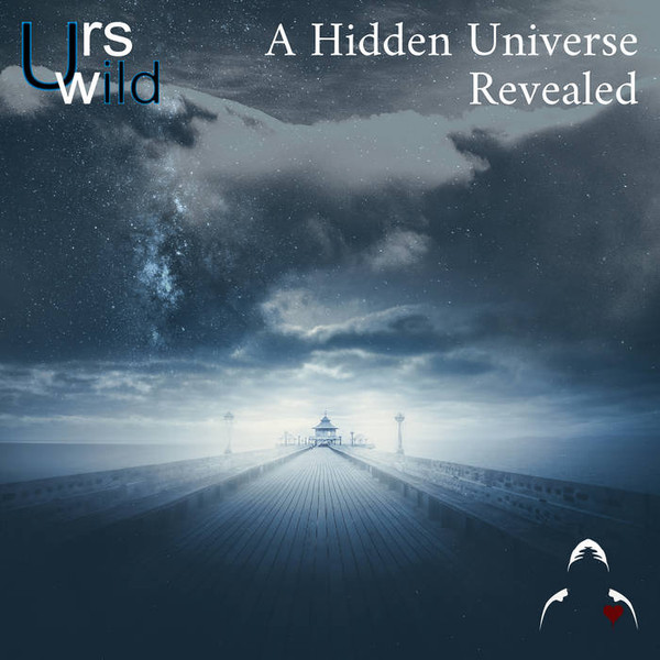 Urs Wild - Signals