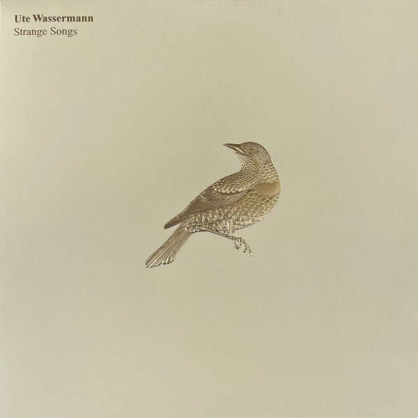 Ute Wassermann - Improvisation (Excerpt)