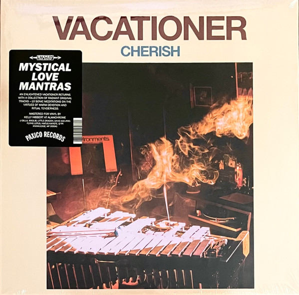 Vacationer - The Wild Life