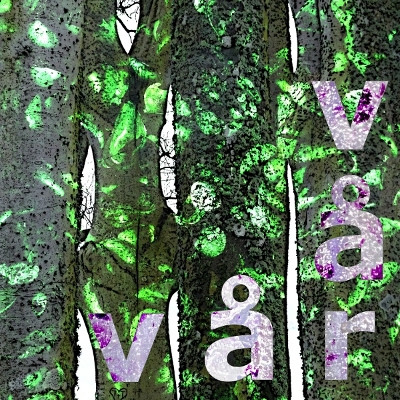 Var - Begin To Remember