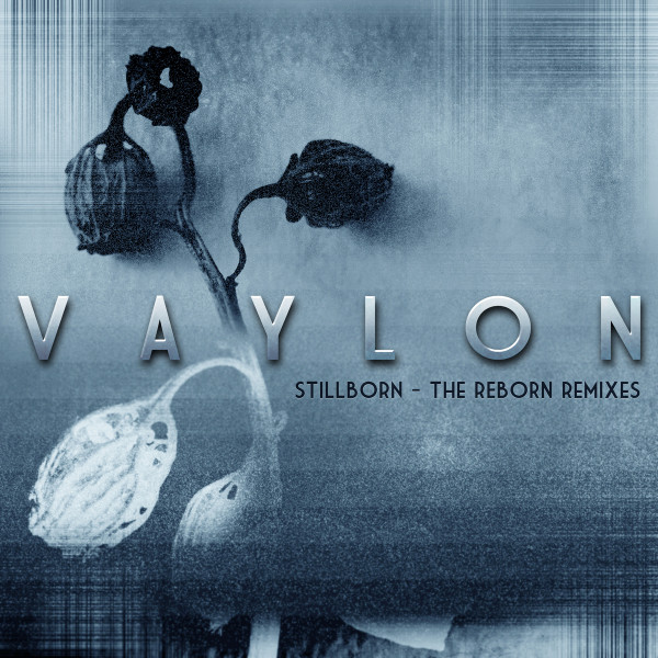 Vaylon - Rising Phoenix