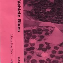 Vehicle Blues - punks on transit