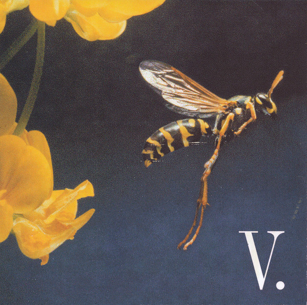 Velella Velella - ALEX BOOM SELECTOR