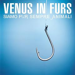 Venus in Furs - Ladytron