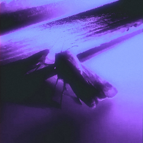 Viliam Lane - Particles - Slowed
