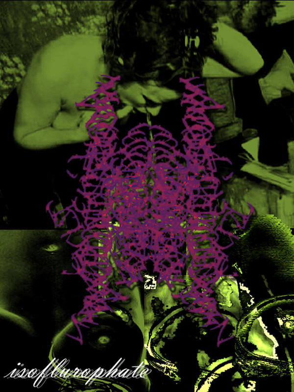 Vomit Particle Found During Anal Examination - Vomitfragrance 1