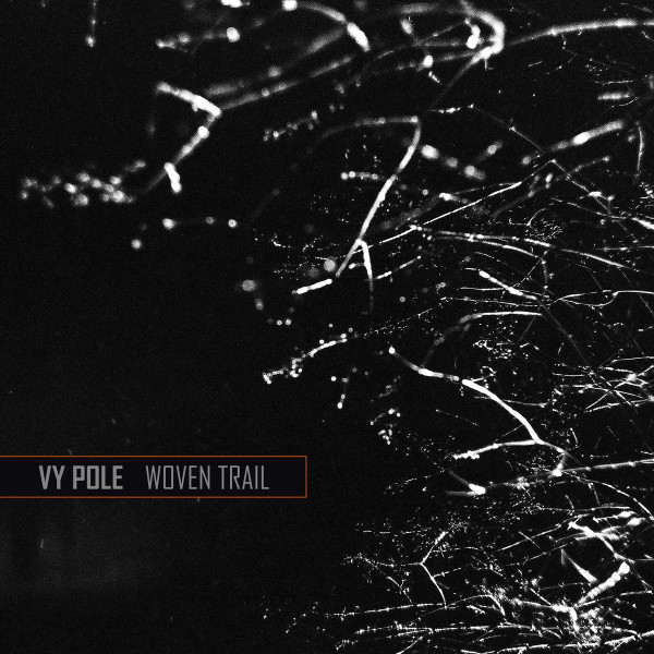 Vy Pole - Buildings to Collapse