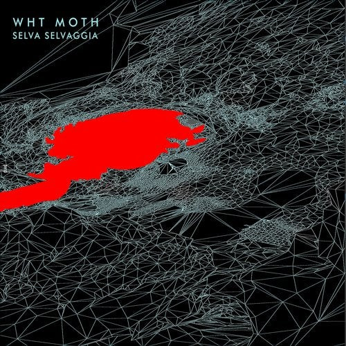 WHT MOTH - Showel & Mattock - Original mix
