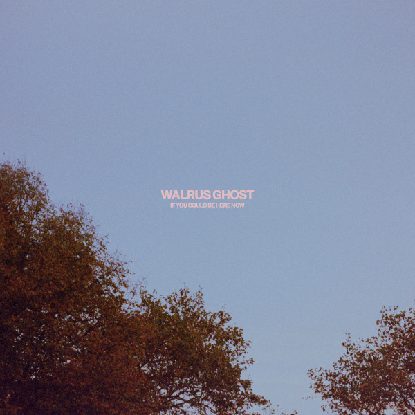 Walrus Ghost - Seventwentyone