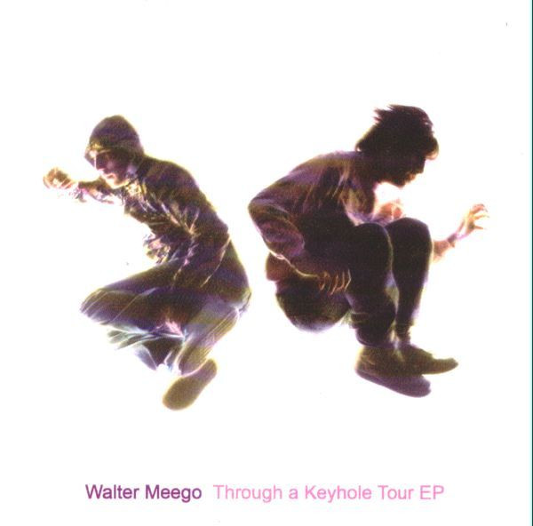 Walter Meego - Wanna Be A Star