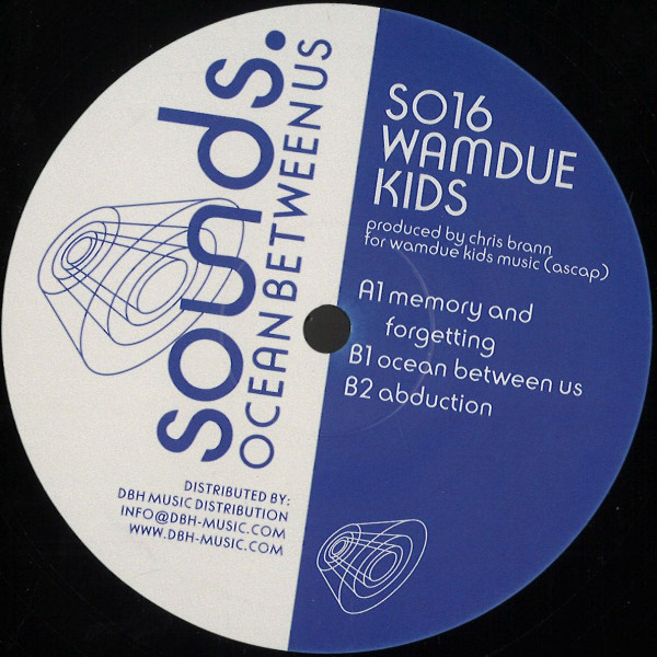 Wamdue Kids - These Branching Moments