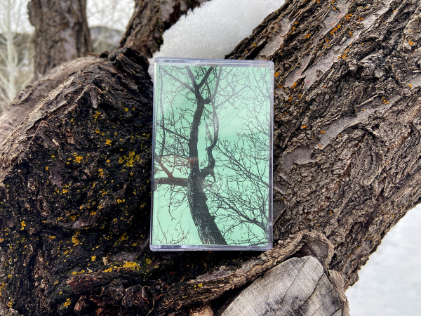 Wandlimb - The Groan of Old Pines