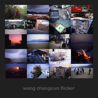 Wang Changcun - Sea-food (2005)