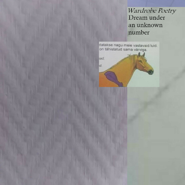 Wardrobe Poetry - Prediction