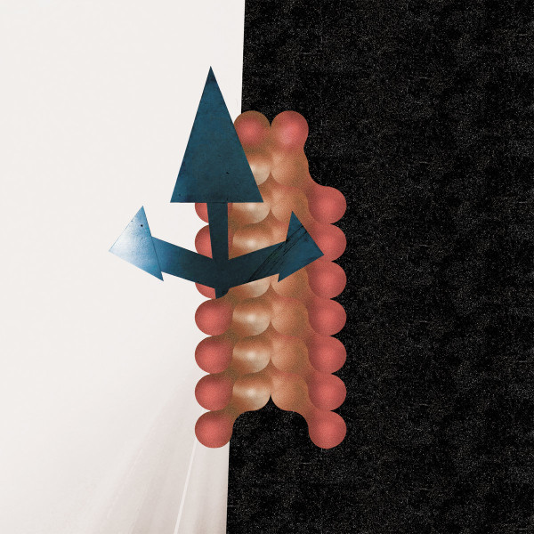 Wata Igarashi & Polygonia - Fibre Axis