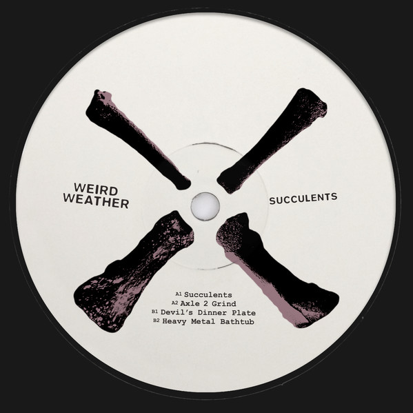 Weird Weather - Succulents