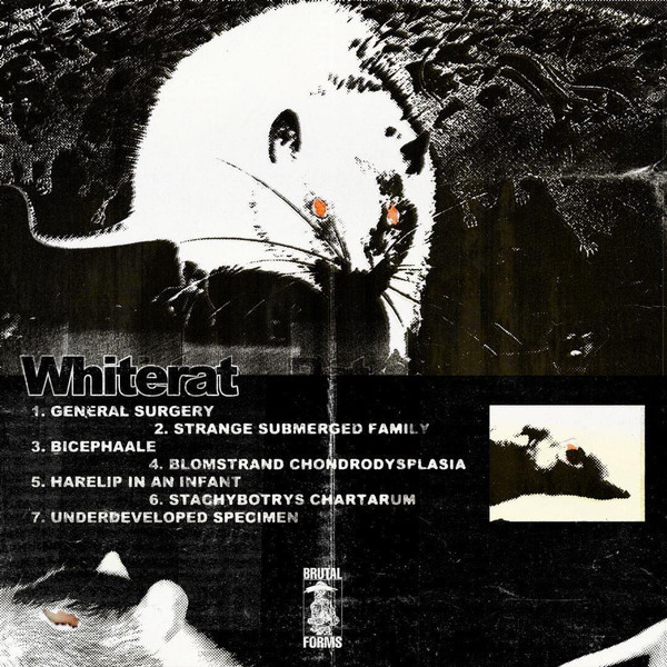 Whiterat - Ergotismo