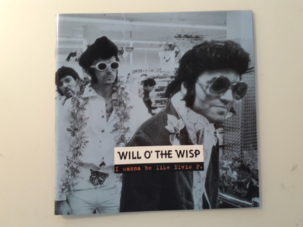 Will-O'-The-Wisp - Long Sleep Plain
