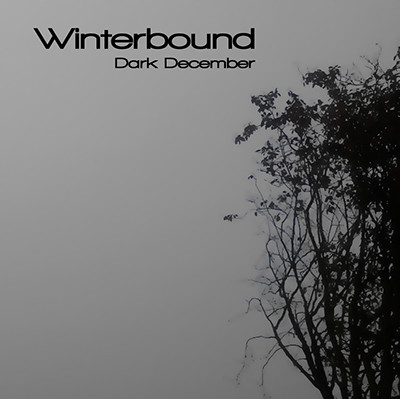 Winterbound - Rising Mist In A Dark Forest