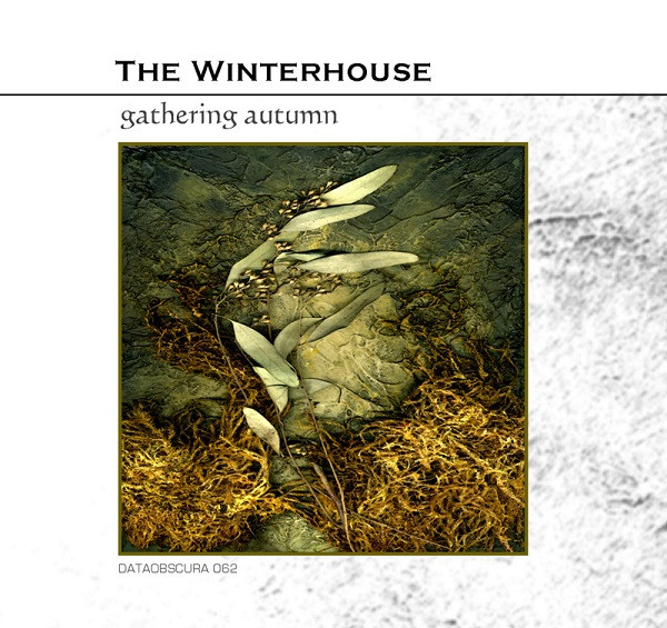 Winterhouse - Remembrance Of Things Past