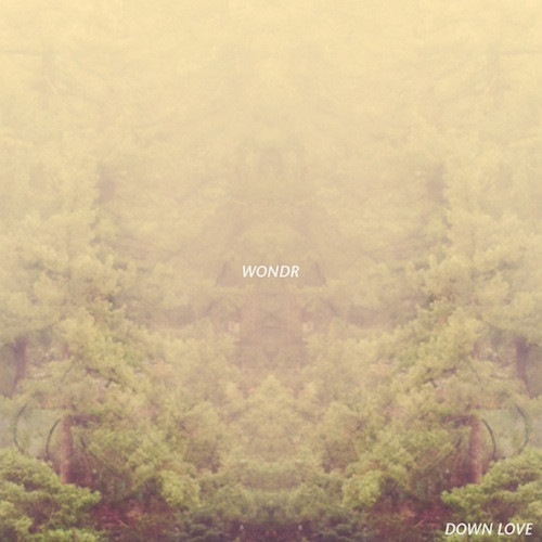 Wondr - I Learned