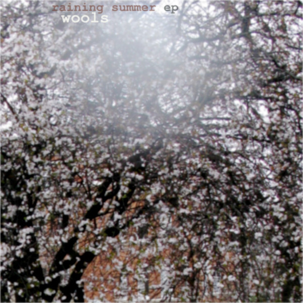 Wools - roberto in the summer