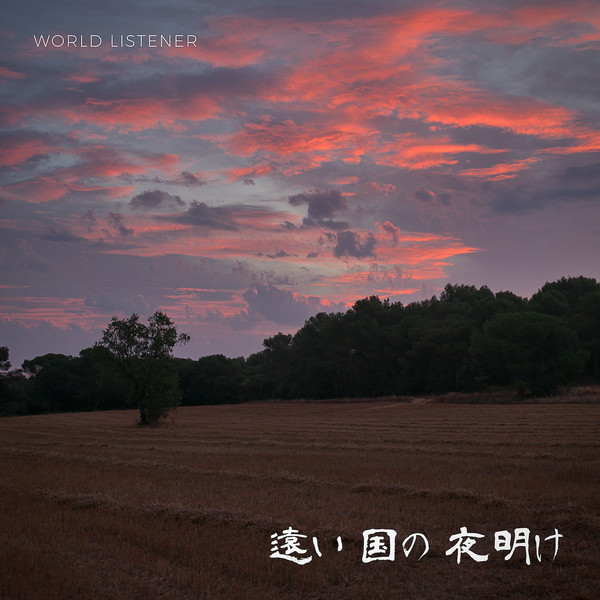 World Listener - Mysore Market