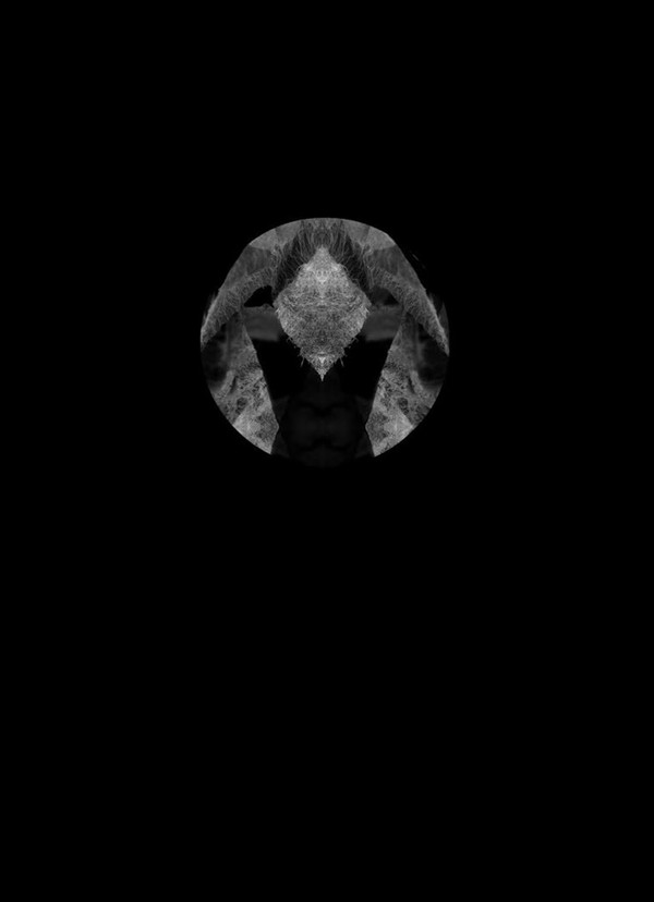 Woundwort - The Deceit in Triumph