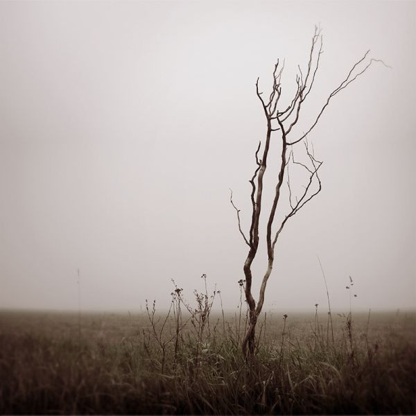 Wouter Veldhuis - An Ever Changing Landscape (Depending On Your Point of View)