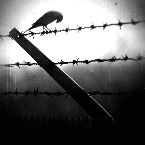 Wychdoktor - Abyss